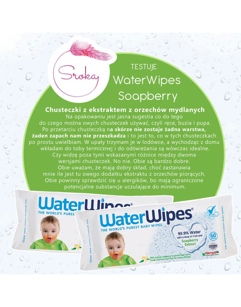 WaterWipes, Chusteczki nasączane czystą wodą, Soapberry (z dodatkiem wyciągu  z orzechów mydlanych), 60szt. PL WATERWIPES