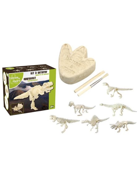 Geo Kids/Navir/DAM - Bones&More, Duży szkielet dinozaura - wykopalisko odcisk łapy
