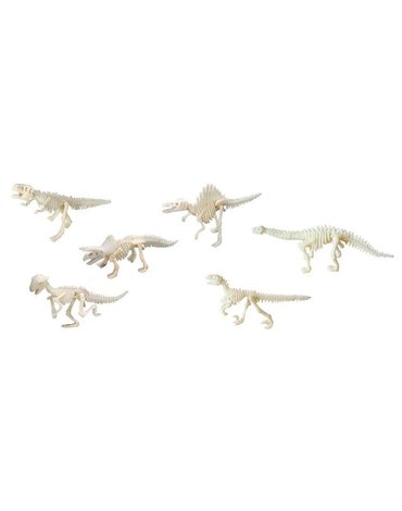 Geo Kids/Navir/DAM - Bones&More, Duży szkielet dinozaura - wykopalisko odcisk łapy