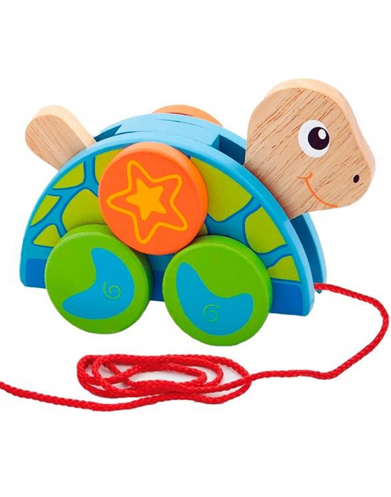 Viga Toys - Viga Zestaw do ciągnięcia żółwik