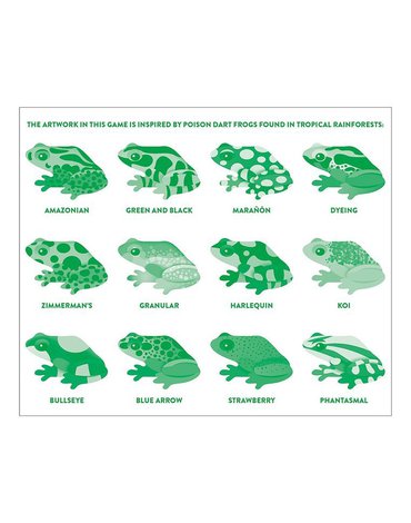 Mudpuppy Gra Memory Tropikalne żaby z elementami w kształcie żab 24 elementy 3-8 lat